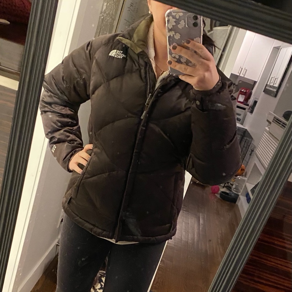 Brown North Face Winter Jacket - image 7